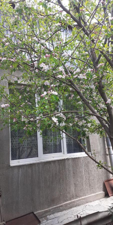 Guest House Otilia Gyumri Exterior photo